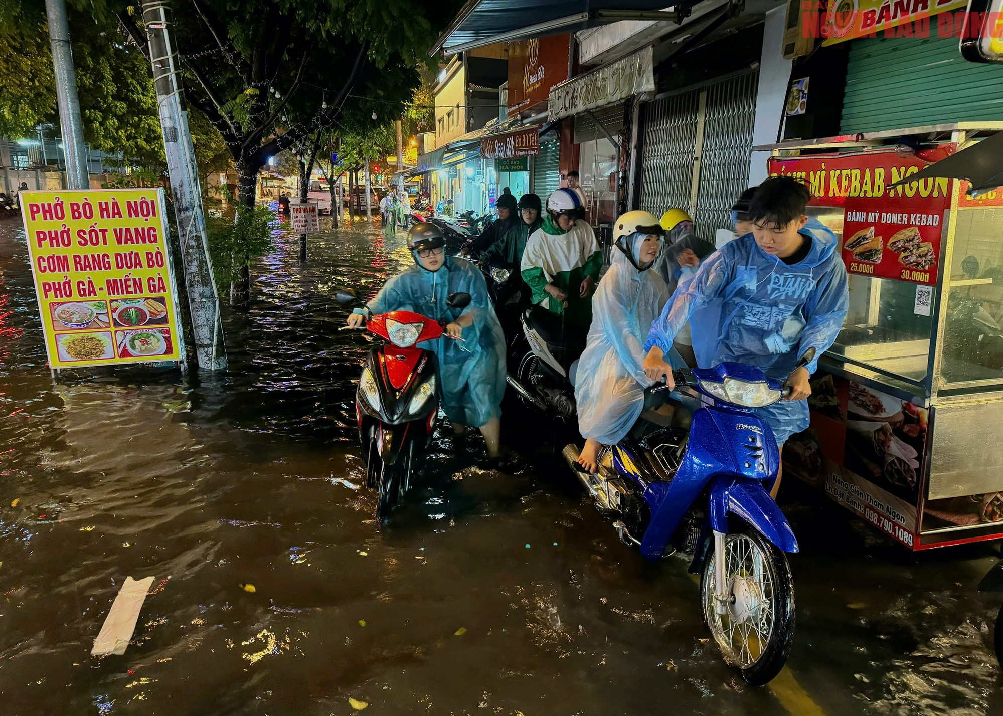 - Ảnh 5. - Ảnh 5.