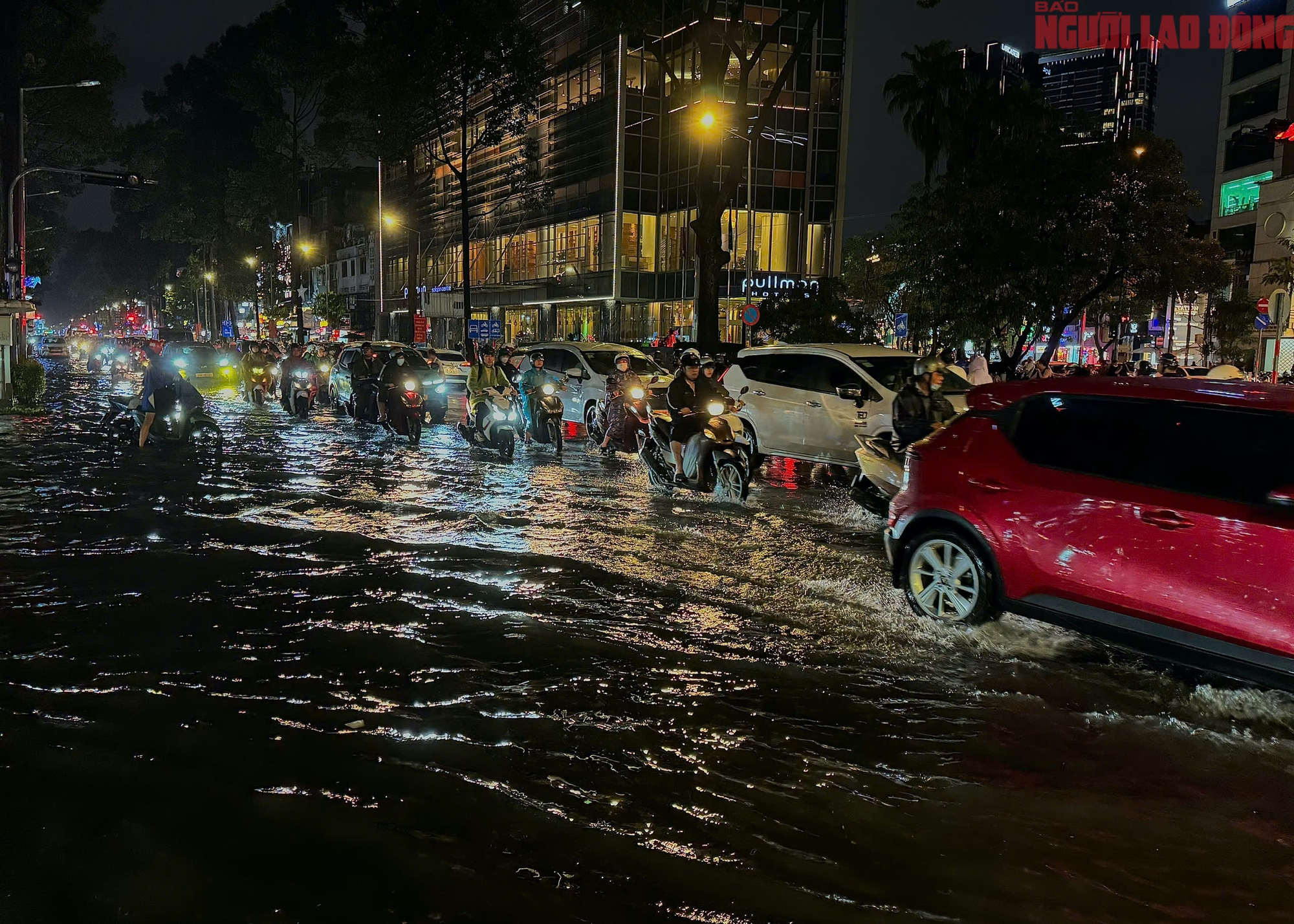 - Ảnh 7. - Ảnh 7.