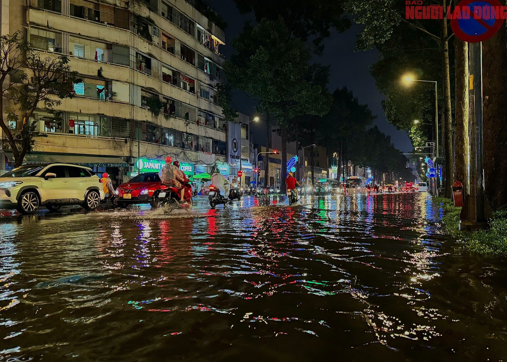 - Ảnh 8. - Ảnh 8.