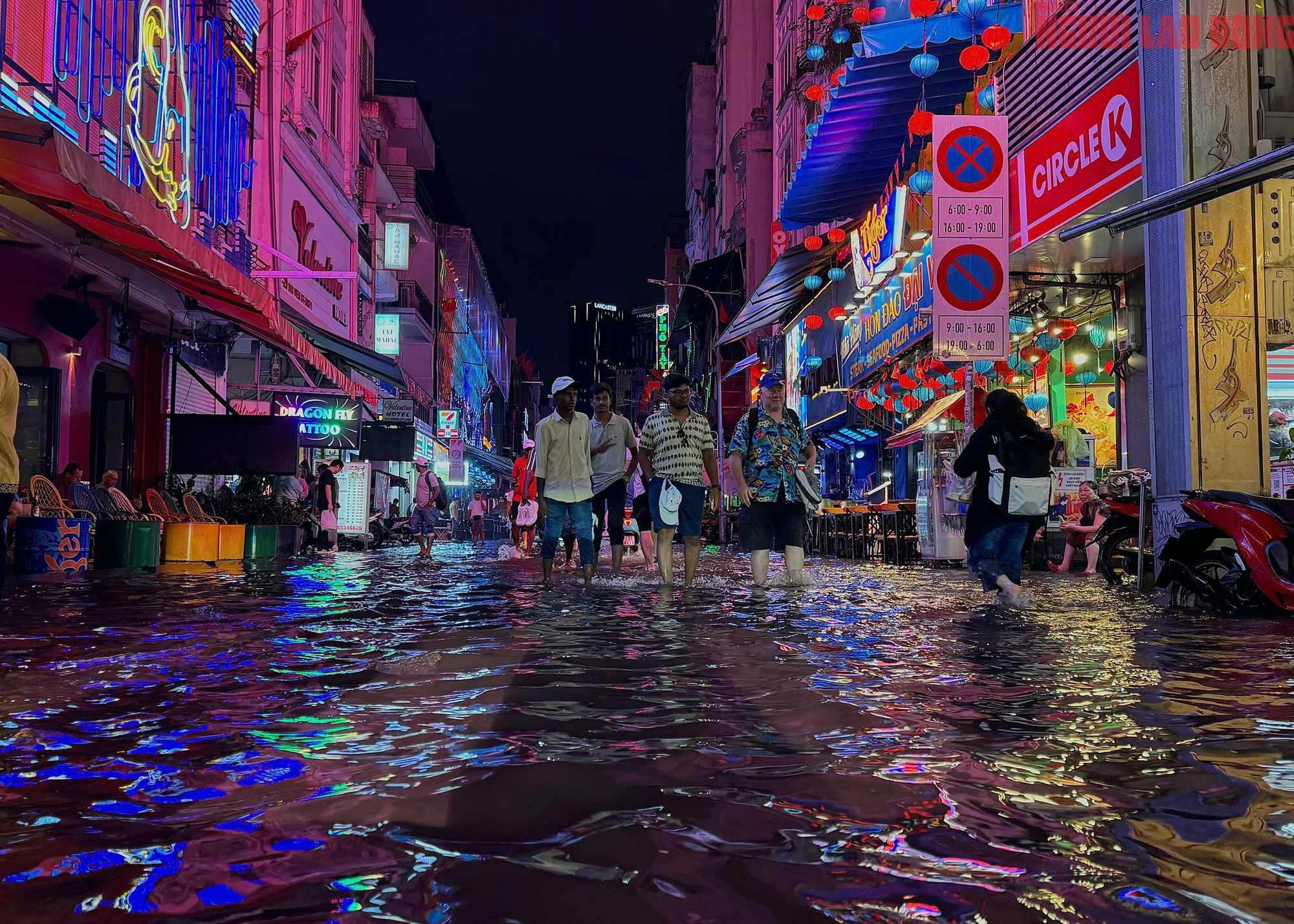 - Ảnh 11. - Ảnh 11.