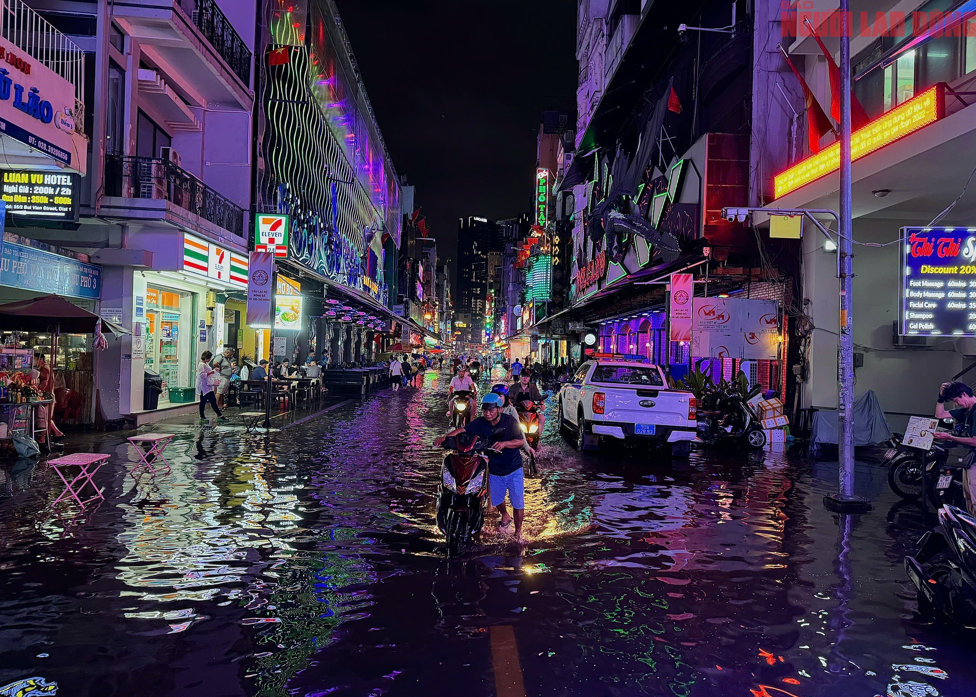 - Ảnh 13. - Ảnh 13.