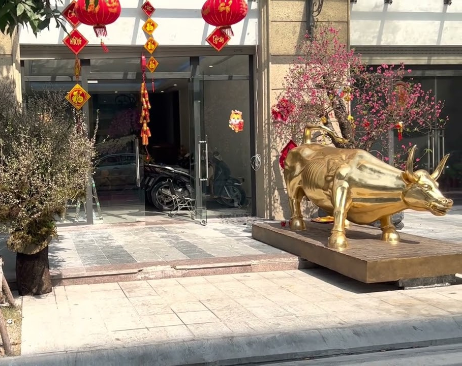 Số vàng mà Huấn Hoa Hồng có - Ảnh 7.