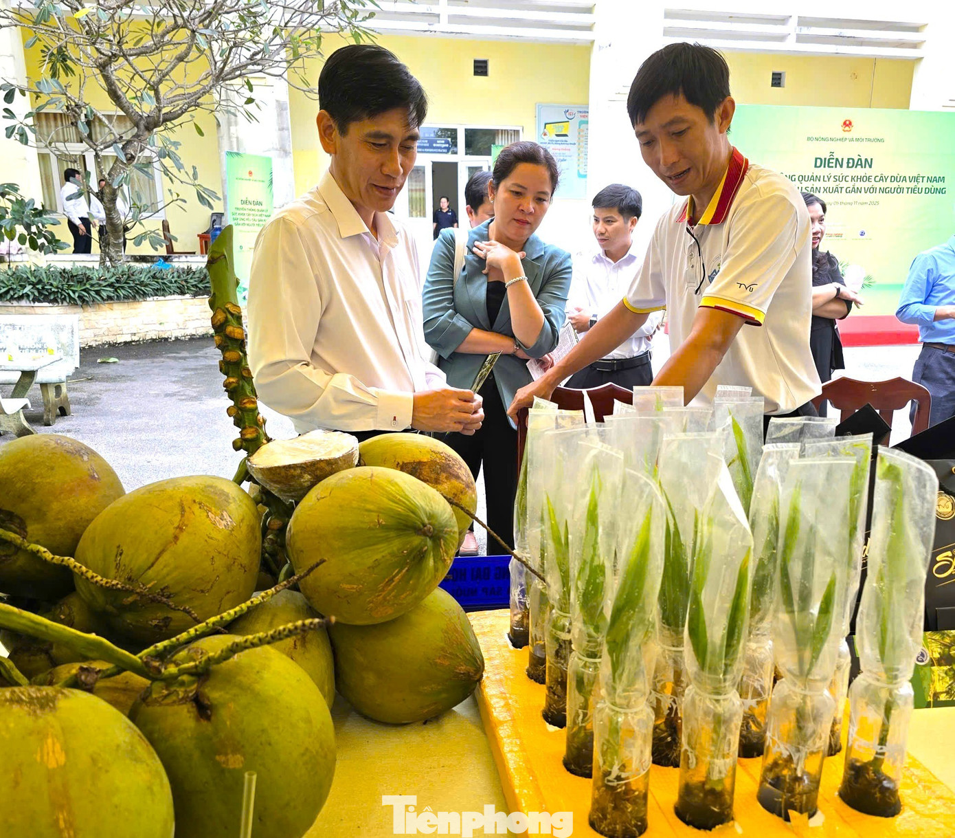 Từ loài cây ít giá trị nay trở thành 'ngôi sao' xuất khẩu của Việt Nam - Ảnh 1. Từ loài cây ít giá trị nay trở thành 'ngôi sao' xuất khẩu của Việt Nam - Ảnh 1.