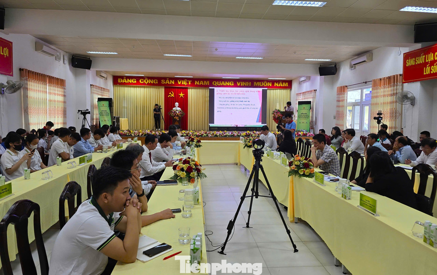 Từ loài cây ít giá trị nay trở thành 'ngôi sao' xuất khẩu của Việt Nam - Ảnh 3. Từ loài cây ít giá trị nay trở thành 'ngôi sao' xuất khẩu của Việt Nam - Ảnh 3.