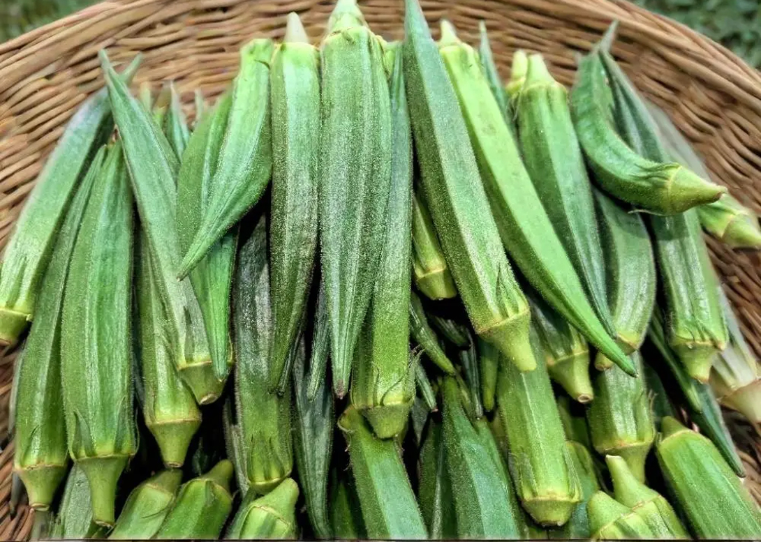 Rau chợ mùa này đầy rẫy hóa chất, nhưng 5 loại rau &quot;ít thuốc, siêu lành&quot; này ai cũng nên ăn- Ảnh 1.