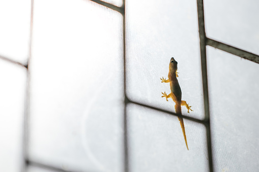 6 tin nhắn ông bố gửi cô giáo giữa đêm khiến loạt phụ huynh 6 tin nhắn ông bố gửi cô giáo giữa đêm khiến loạt phụ huynh