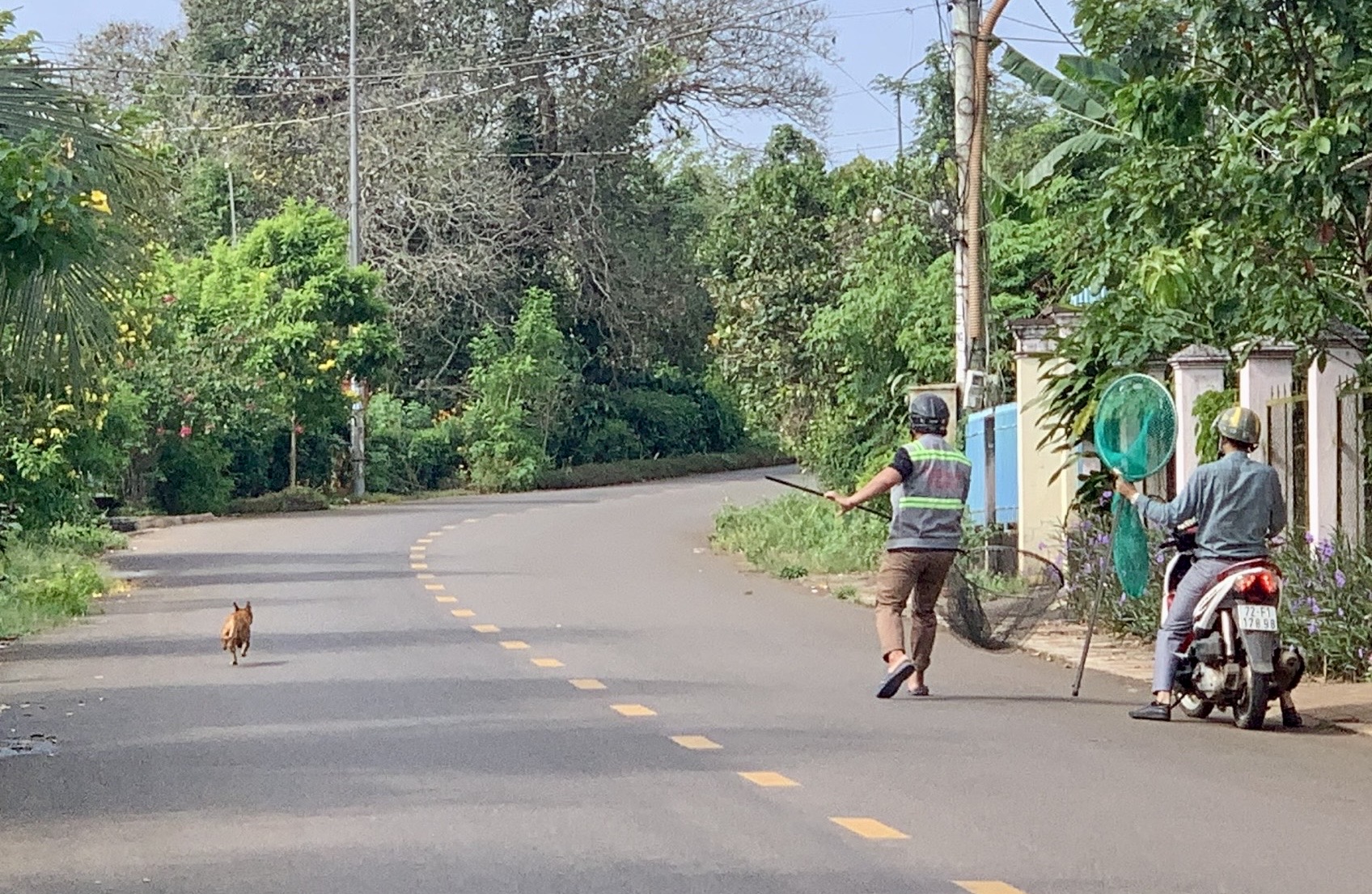 Siết chặt quản lý chó thả rong - Ảnh 1.