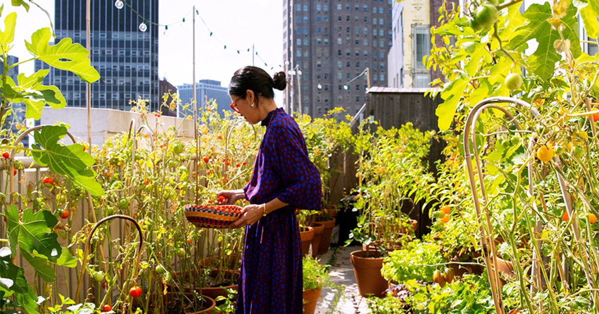 Ở tuổi 50, tôi cắt 7 khoản tưởng nhỏ mà ngốn tiền - sống nhàn hơn hẳn, dư tiền dưỡng già - Ảnh 1.