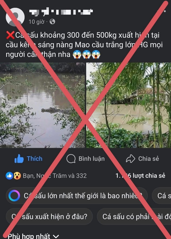 Bác bỏ thông tin cá sấu nặng 200 - 500kg xuất hiện trên sông ở Cần Thơ - Ảnh 1.