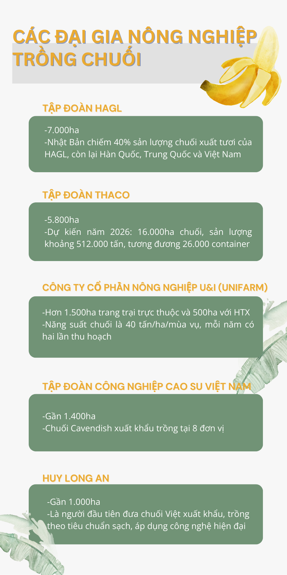 'Trái cây hạnh phúc' của Việt Nam khiến Nhật Bản, Trung Quốc tranh phần nhập khẩu, một loạt đại gia nông nghiệp chạy đua mở rộng diện tích - Ảnh 1.