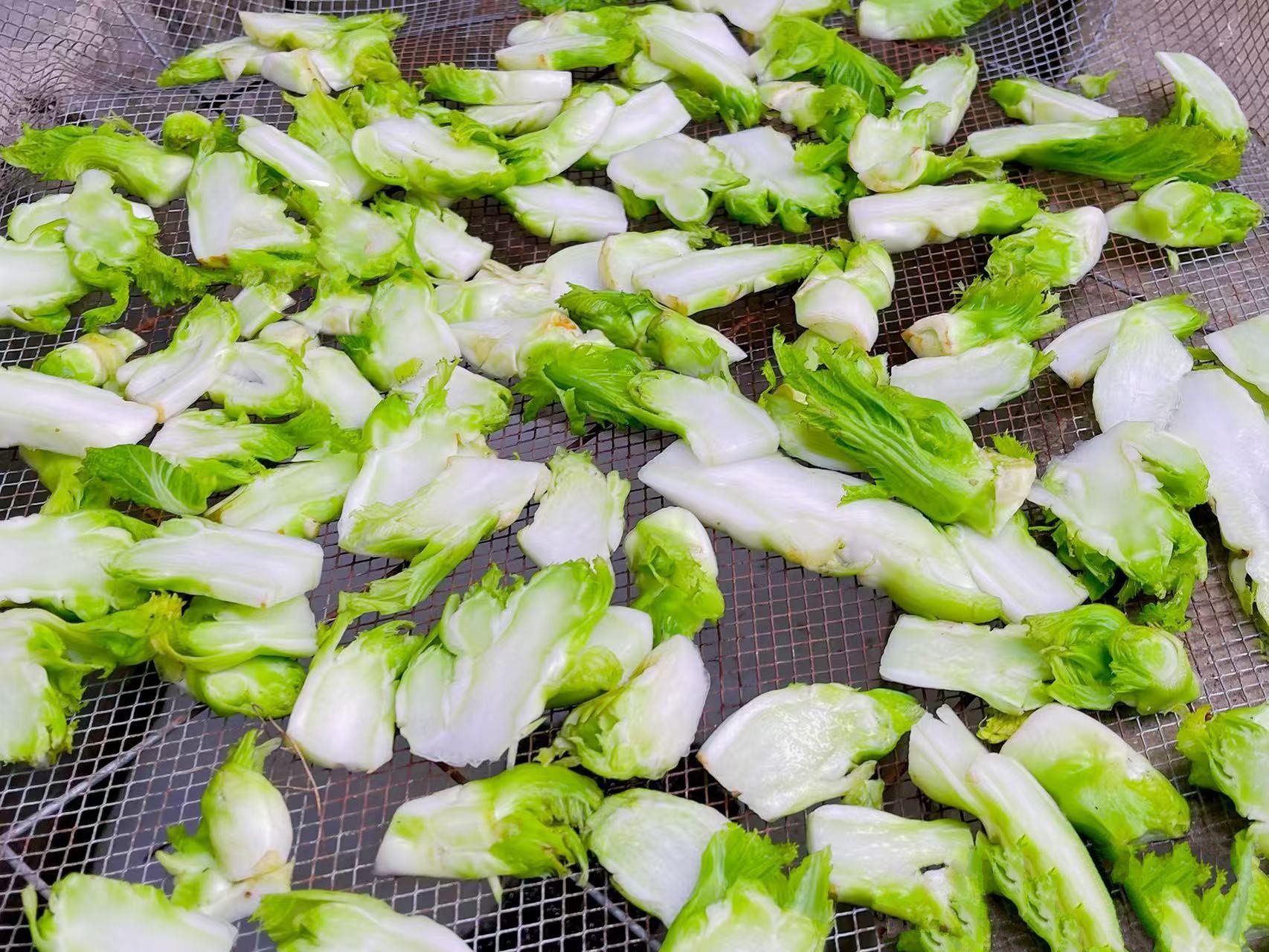 Cải mầm khô - món ngon giải nhiệt mùa đông cho bữa cơm thêm hấp dẫn - Ảnh 3. Cải mầm khô - món ngon giải nhiệt mùa đông cho bữa cơm thêm hấp dẫn - Ảnh 3.