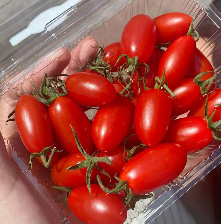 Top 10 thực phẩm l&agrave;m chậm l&atilde;o h&oacute;a da được c&aacute;c b&aacute;c sĩ Nhật khen ngợi: To&agrave;n m&oacute;n &ldquo;kho&aacute;i khẩu&rdquo; của người Việt - Ảnh 4.