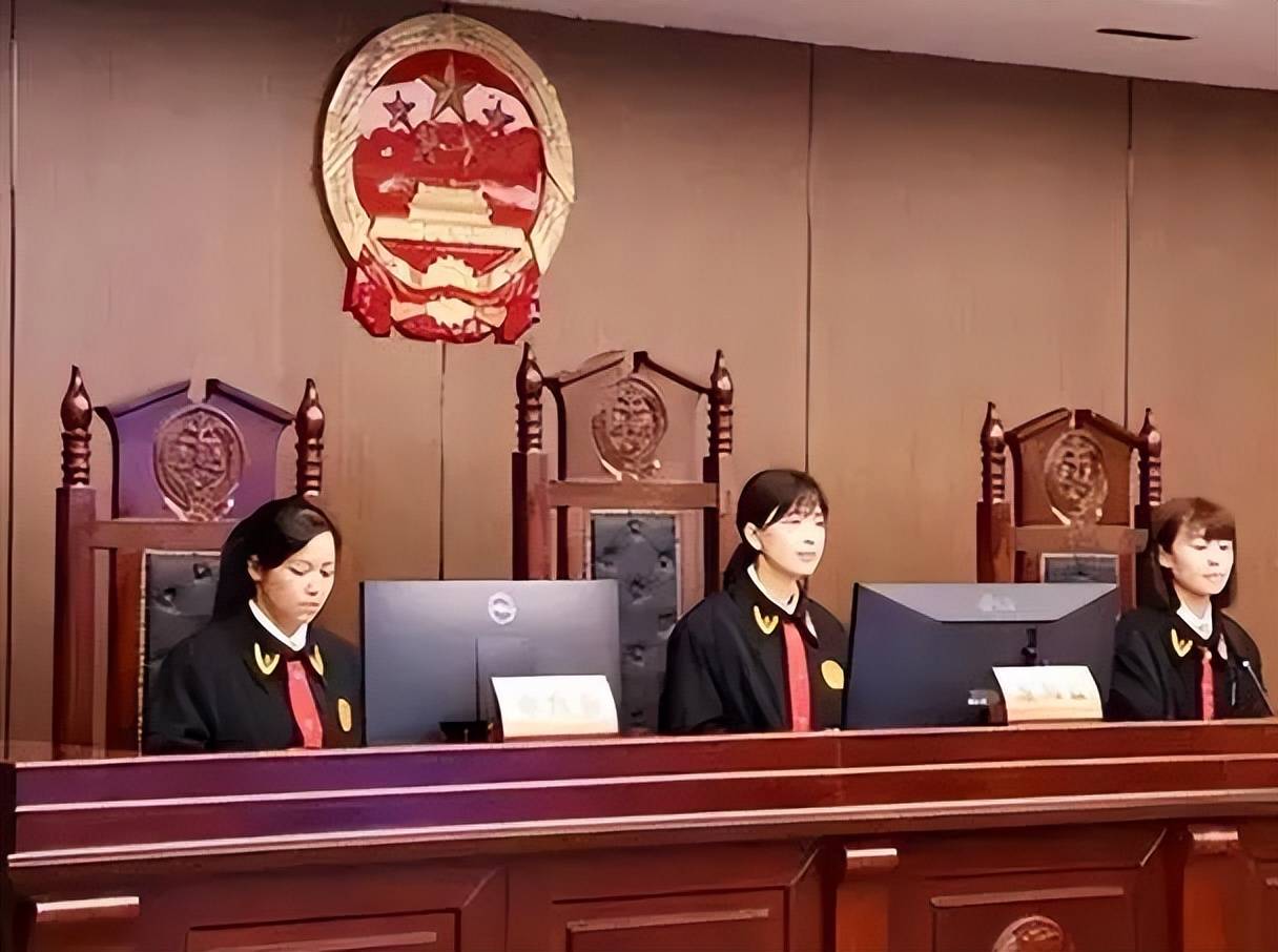 L&atilde;o n&ocirc;ng nh&agrave; ngh&egrave;o nhận nu&ocirc;i một b&eacute; g&aacute;i bị bỏ rơi, kh&ocirc;ng ngờ 23 năm sau, ch&iacute;nh c&ocirc; lại kiện &ocirc;ng ra t&ograve;a- Ảnh 3.