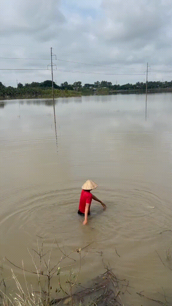 Mẹ trẻ miền T&acirc;y thắc mắc: Đ&aacute;m trẻ con nh&agrave; m&igrave;nh đang ph&aacute;t cuồng v&igrave; một 1 đồ chơi kỳ lạ 