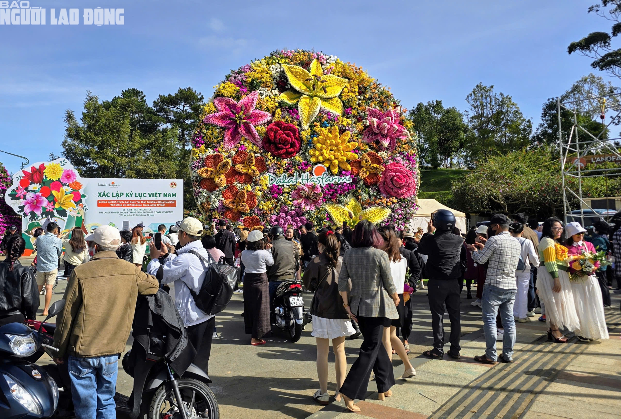 - Ảnh 1. - Ảnh 1.