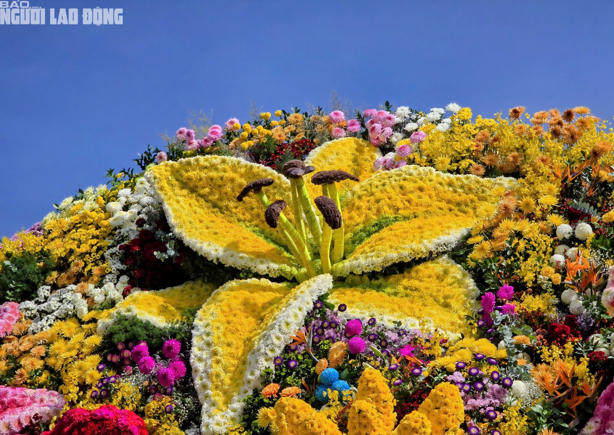 - Ảnh 4. - Ảnh 4.