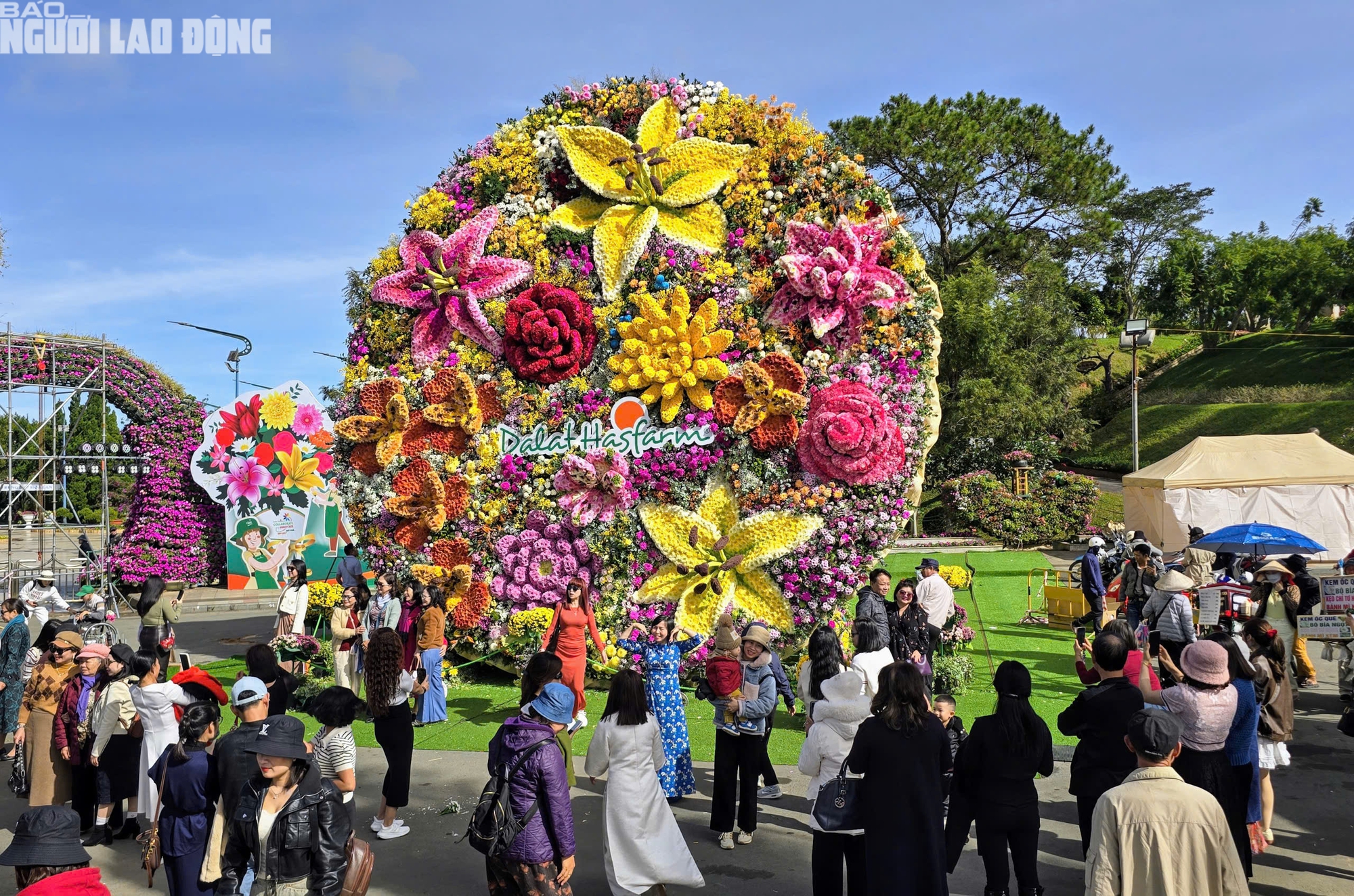 - Ảnh 7. - Ảnh 7.