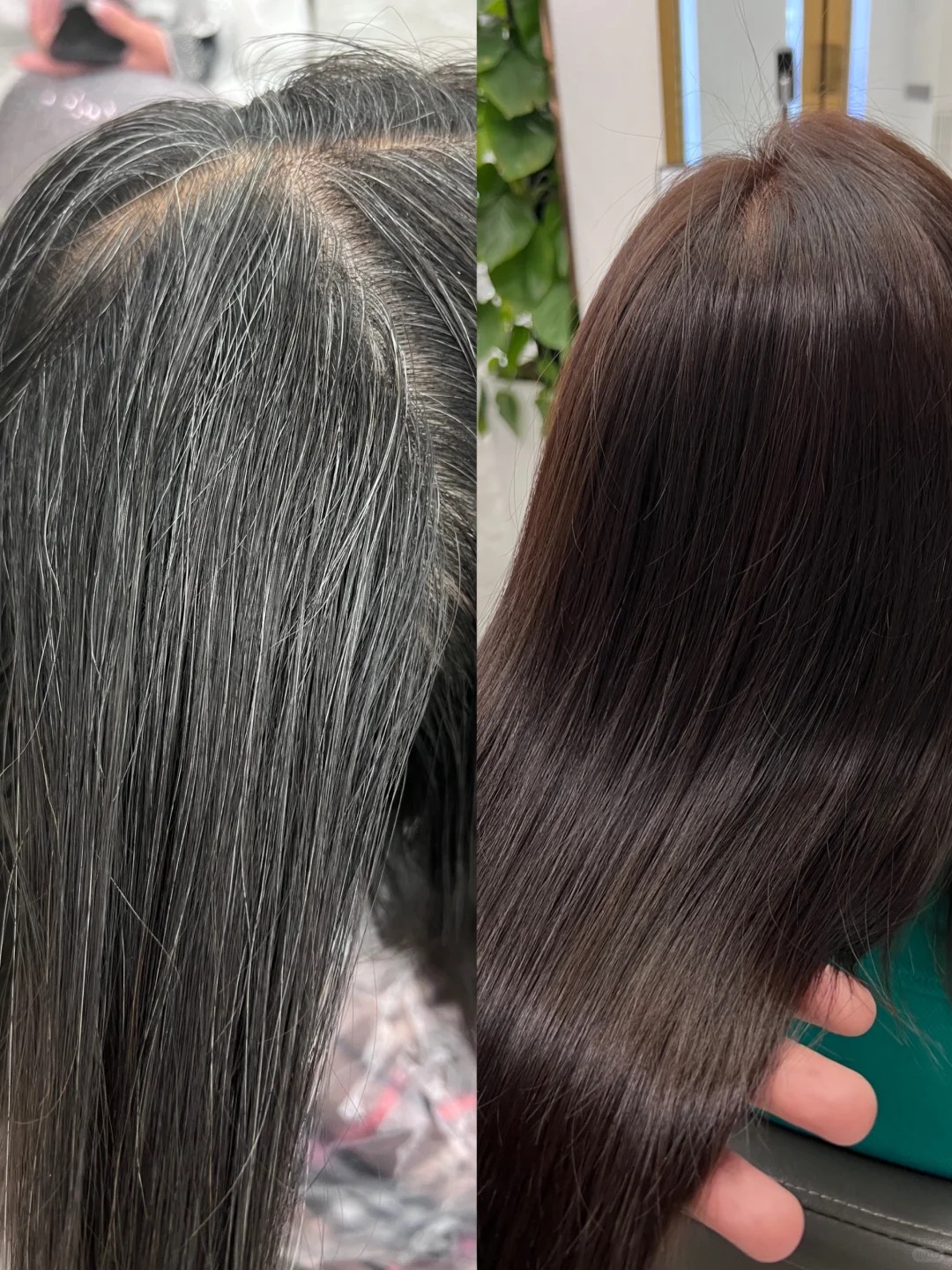 Vì sao phụ nữ trung niên không nên nhổ tóc bạc? - Ảnh 5.