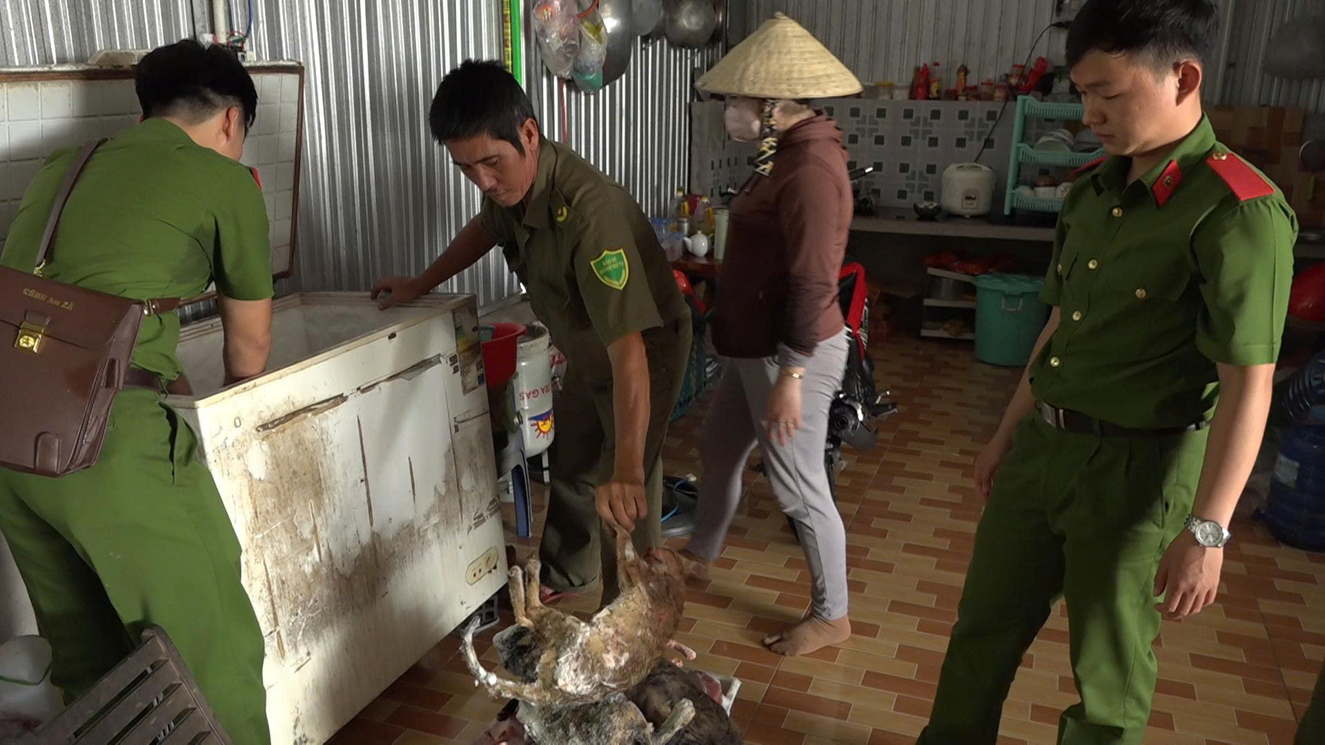 Bắt quả tang kho lạnh chứa hơn 700kg m&egrave;o kh&ocirc;ng r&otilde; nguồn gốc ở Đồng Th&aacute;p - Ảnh 1.