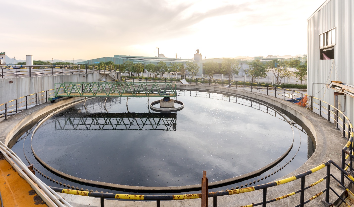 Hồi sinh thứ bỏ đi: Chuyện về &ldquo;c&ocirc; g&aacute;i n&ocirc;ng th&ocirc;n&rdquo; Miza v&agrave; h&agrave;nh tr&igrave;nh 15 năm bền bỉ- Ảnh 8.