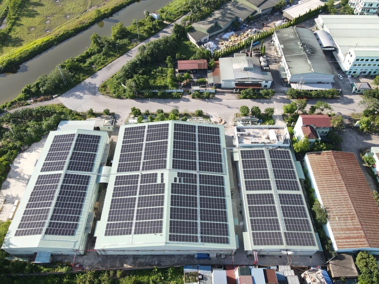 Trồng cỏ c&acirc;y: Doanh nghiệp Việt chinh phục thị trường dược liệu 10 tỷ USD - Ảnh 8.