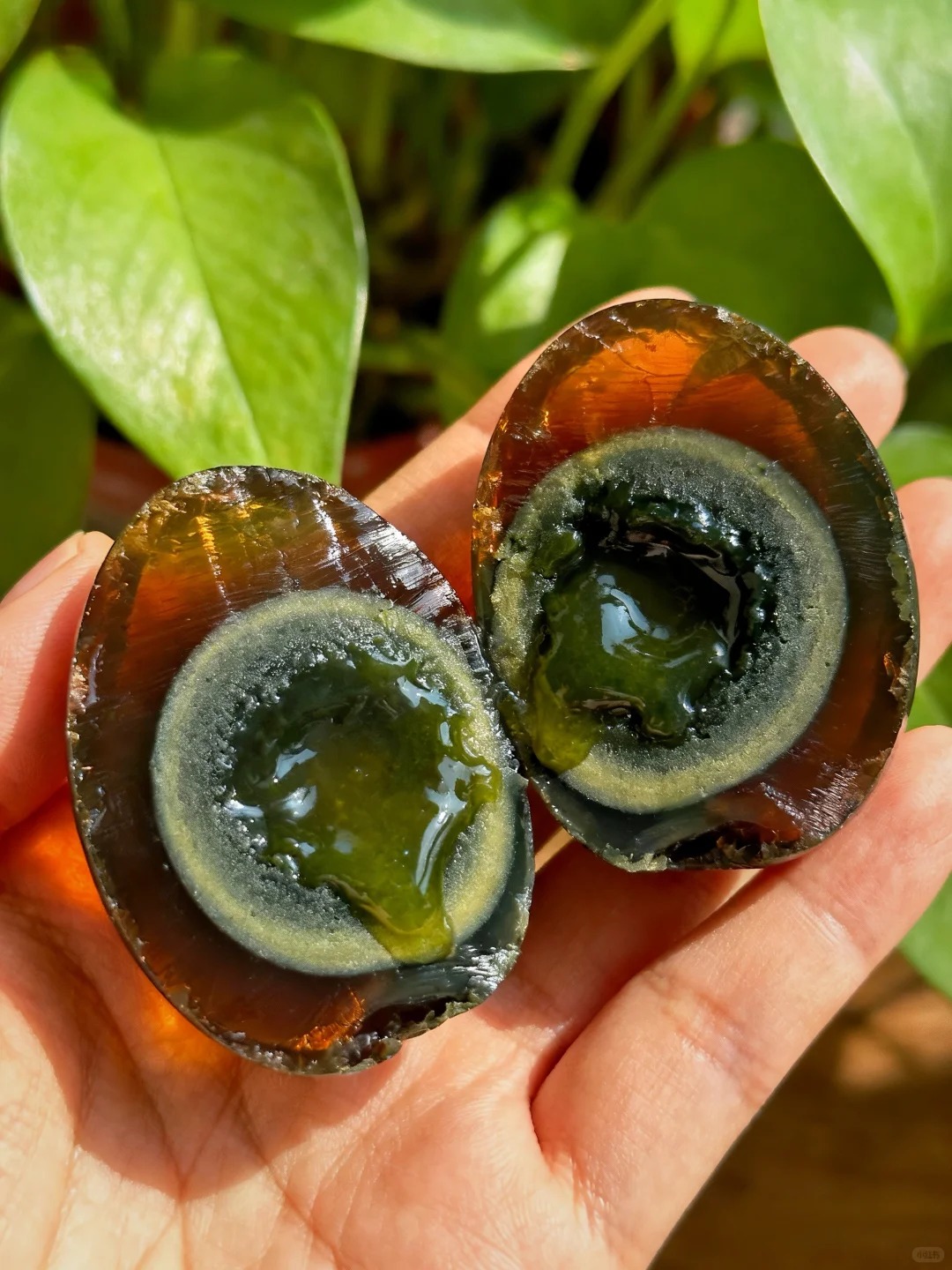 Trứng bắc thảo Ung An: Vi&ecirc;n ngọc hổ ph&aacute;ch tr&ecirc;n b&agrave;n tiệc ng&agrave;y Tết - Ảnh 20.