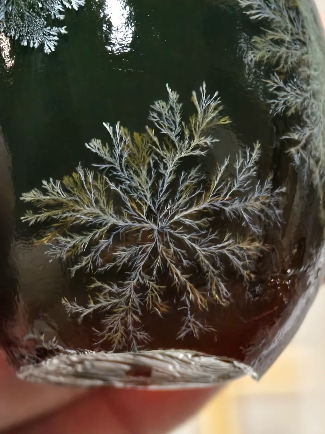 Trứng bắc thảo Ung An: Vi&ecirc;n ngọc hổ ph&aacute;ch tr&ecirc;n b&agrave;n tiệc ng&agrave;y Tết - Ảnh 17.