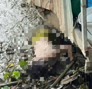 Điều tra nguyên nhân 2 bé gái tử vong bên bờ sông Tây Ninh - Ảnh 1. Điều tra nguyên nhân 2 bé gái tử vong bên bờ sông Tây Ninh - Ảnh 1.