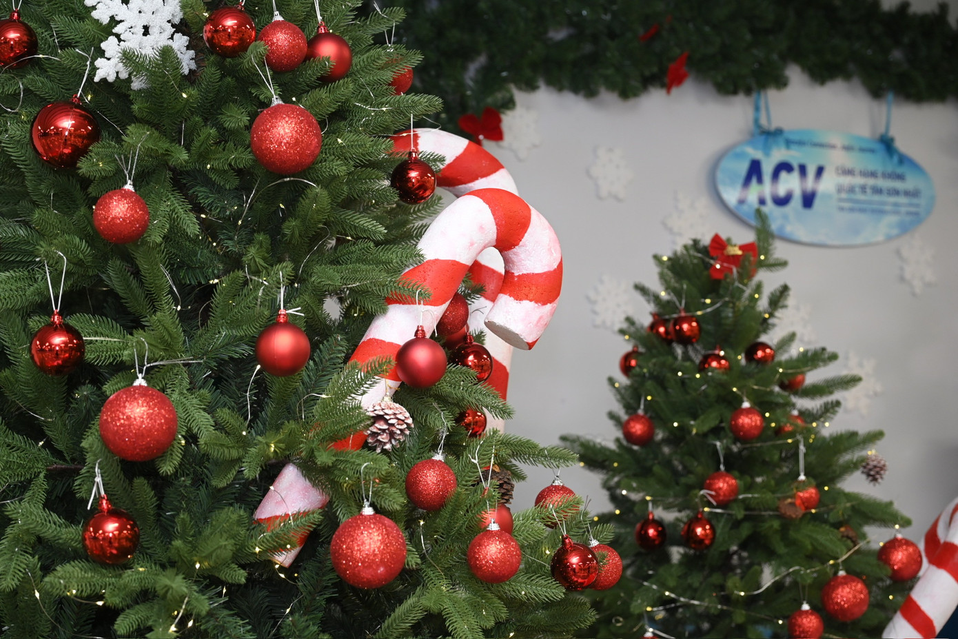 Điểm check - in Gi&aacute;ng sinh tuyệt đẹp tại nh&agrave; ga T3 Cảng H&agrave;ng kh&ocirc;ng T&acirc;n Sơn nhất - Ảnh 8.