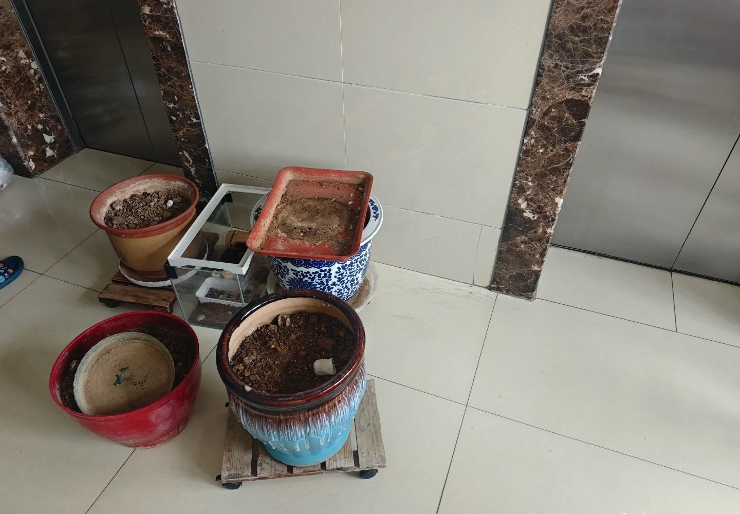 Thức tỉnh ở tuổi trung ni&ecirc;n: 10 việc nh&agrave; ch&iacute;nh ch&uacute;ng ta tự tạo ra - bỏ đi l&agrave; thấy cuộc sống nhẹ hẳn - Ảnh 9.