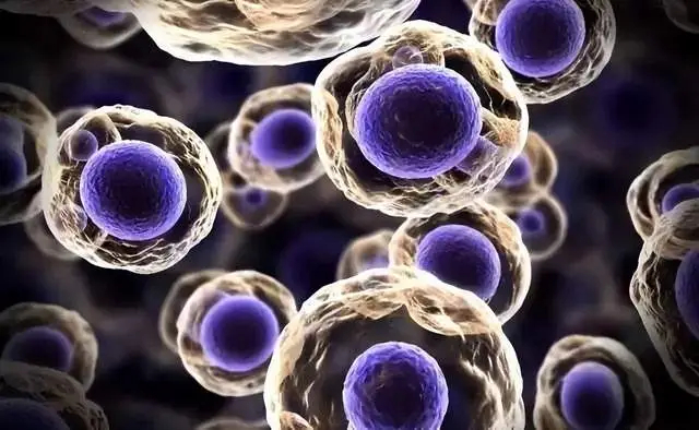 Selen l&agrave; nguy&ecirc;n tố chống ung thư, nếu cơ thể gửi 3 t&iacute;n hiệu n&agrave;y c&oacute; nghĩa l&agrave; bạn đang thiếu n&oacute;, h&atilde;y bổ sung ngay nh&eacute;!- Ảnh 1.