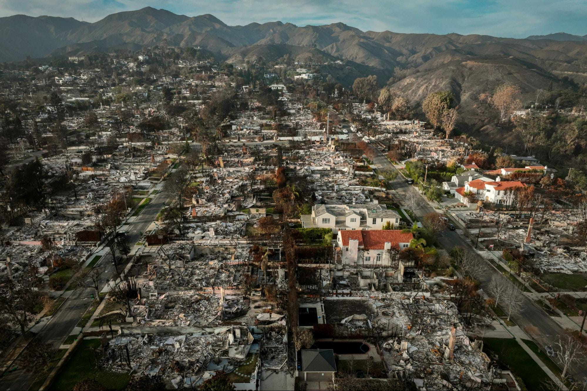 Ch&ugrave;m ảnh: Ch&uacute;ng ta đ&atilde; sống một năm 2025 như thế n&agrave;o?- Ảnh 3.