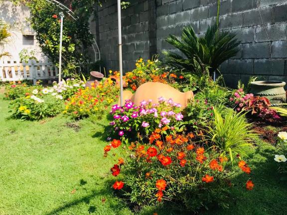 Ho&agrave;ng Minh LS & Ph&uacute; Cường &ndash; Đồng h&agrave;nh c&ugrave;ng ph&aacute;t triển đ&ocirc; thị xanh- Ảnh 2.