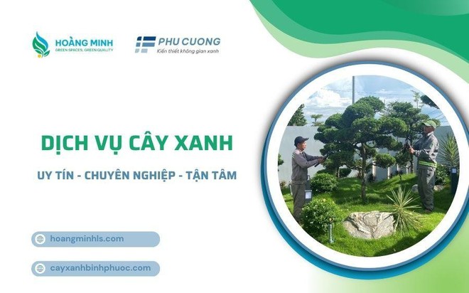 Ho&agrave;ng Minh LS & Ph&uacute; Cường &ndash; Đồng h&agrave;nh c&ugrave;ng ph&aacute;t triển đ&ocirc; thị xanh- Ảnh 1.