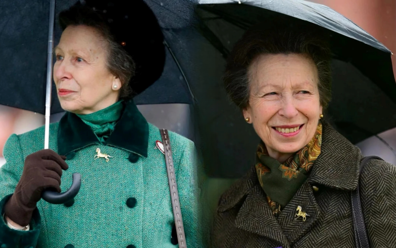 Từ chiếc huy hiệu h&igrave;nh ngựa của Vương nữ Anne: &Yacute; nghĩa biểu tượng trong phong c&aacute;ch phụ nữ sang trọng - Ảnh 1.