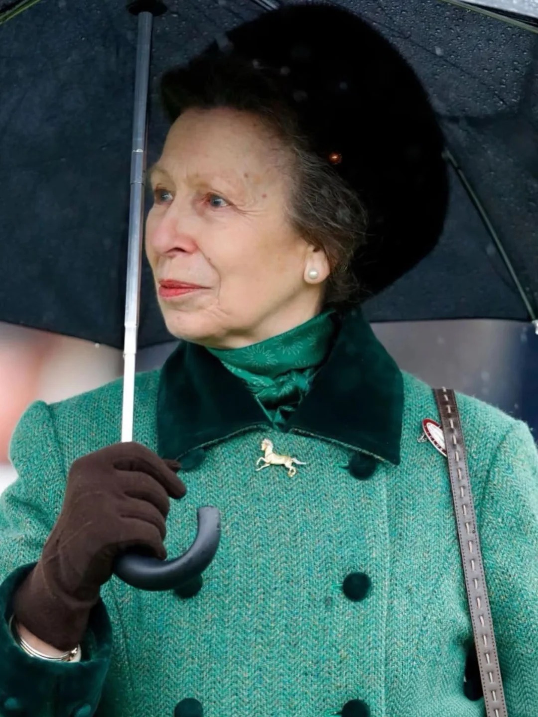 Từ chiếc huy hiệu h&igrave;nh ngựa của Vương nữ Anne: &Yacute; nghĩa biểu tượng trong phong c&aacute;ch phụ nữ sang trọng - Ảnh 7.