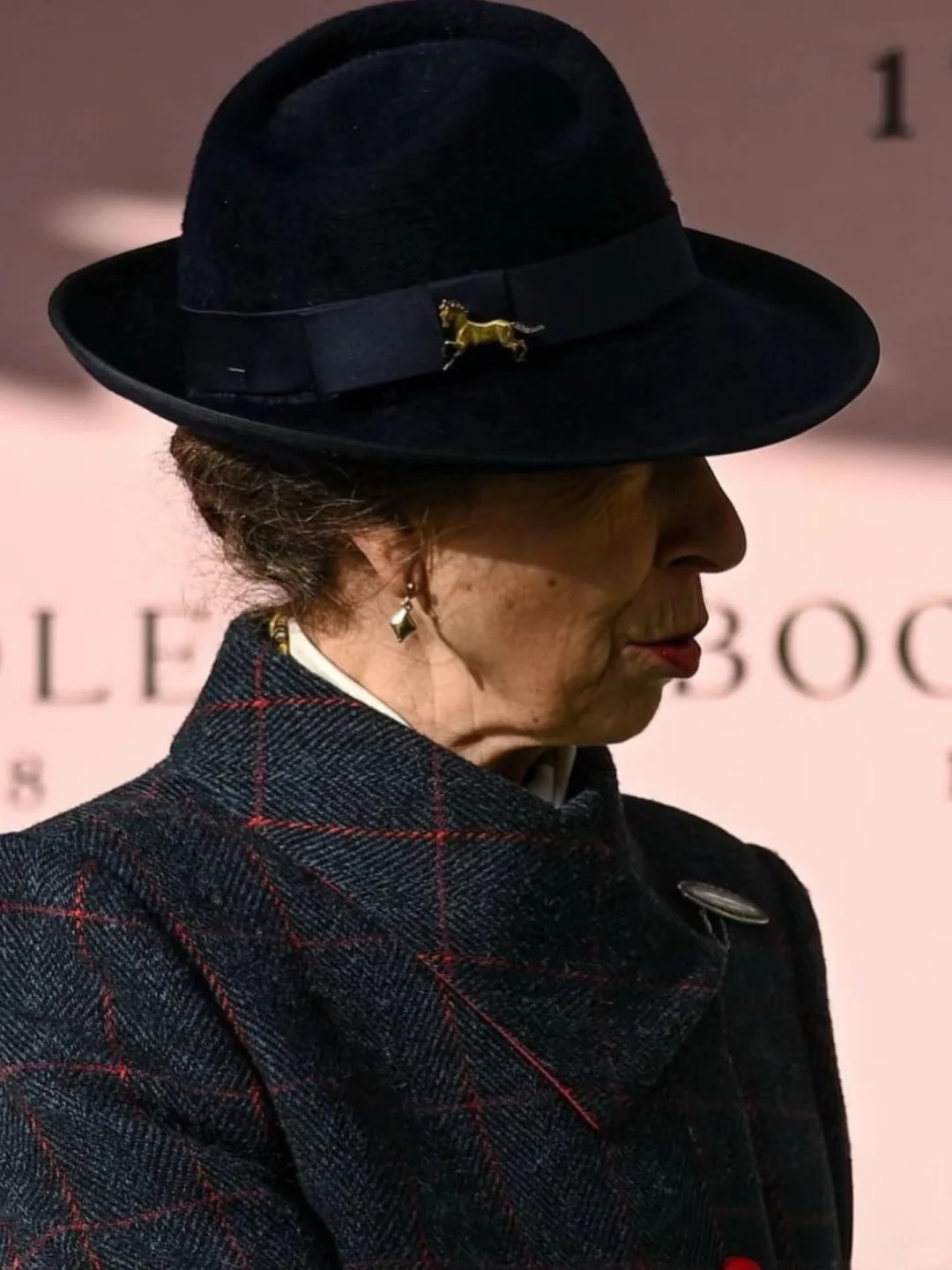 Từ chiếc huy hiệu h&igrave;nh ngựa của Vương nữ Anne: &Yacute; nghĩa biểu tượng trong phong c&aacute;ch phụ nữ sang trọng - Ảnh 2.