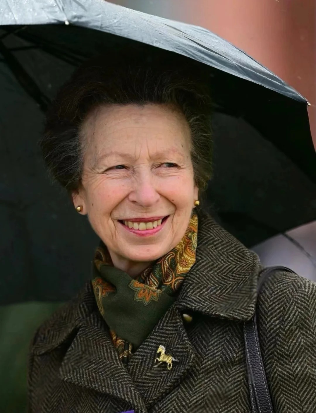 Từ chiếc huy hiệu h&igrave;nh ngựa của Vương nữ Anne: &Yacute; nghĩa biểu tượng trong phong c&aacute;ch phụ nữ sang trọng - Ảnh 3.