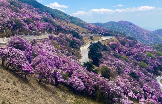 Kh&aacute;ch Việt chia sẻ trải nghiệm ngắm tuyết tr&ecirc;n Kiệu Tử Sơn Trung Quốc kh&ocirc;ng thể qu&ecirc;n - Ảnh 17.