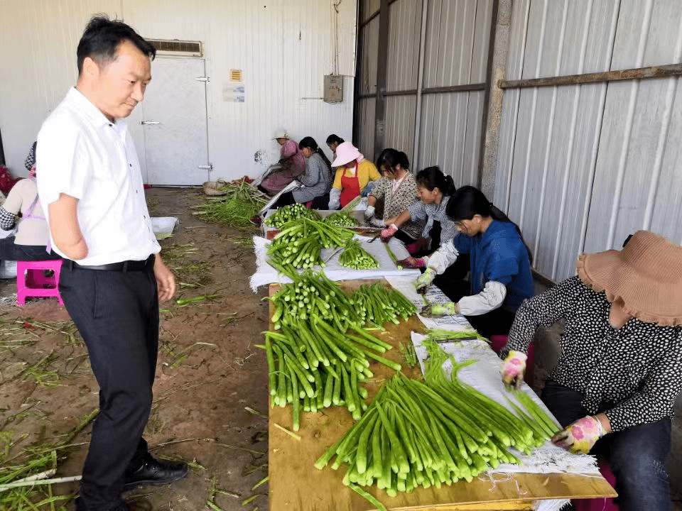 Người đàn ông sinh năm 1984 bán rau kiếm hơn 37 tỷ đồng / năm tại Trung Quốc - Ảnh 3. Người đàn ông sinh năm 1984 bán rau kiếm hơn 37 tỷ đồng / năm tại Trung Quốc - Ảnh 3.