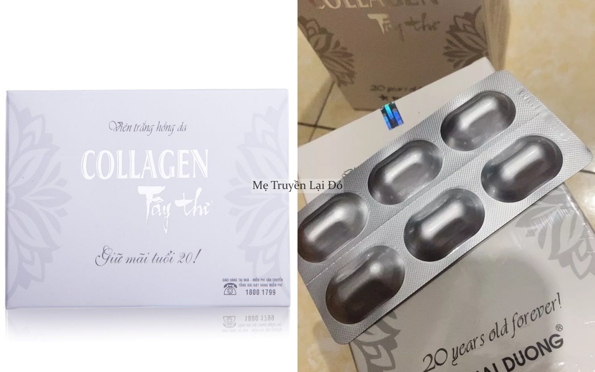 4 loại collagen 