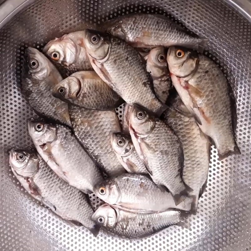 Chợ Việt c&oacute; loại c&aacute; nhỏ, chỉ 30.000 đồng/kg nhưng được thầy thuốc xưa gọi l&agrave; 