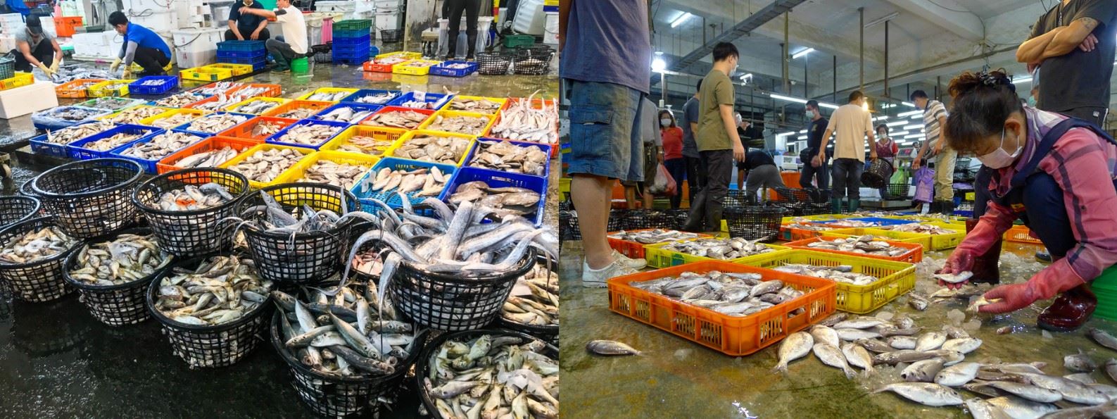 Nhờ học mẹ c&aacute;ch xem đồ chợ h&ocirc;m nay rẻ hay đắt, t&ocirc;i mới biết m&igrave;nh mất tiền oan nhiều thế n&agrave;o - Ảnh 5.