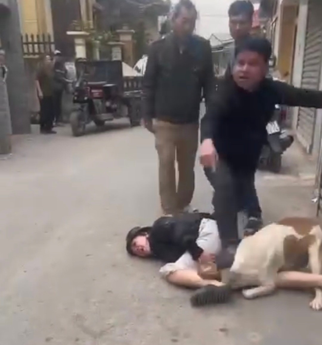 H&agrave; Nội: X&aacute;c minh vụ ch&oacute; cắn phụ nữ đi đường g&acirc;y bức x&uacute;c dư luận - Ảnh 1.