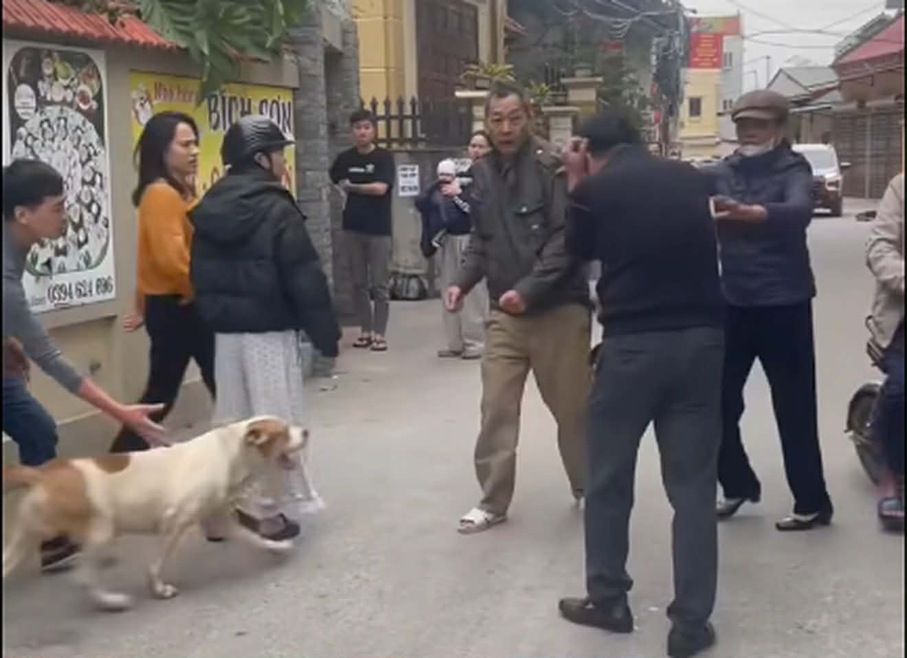 Vụ thả ch&oacute; cắn người ở H&agrave; Nội g&acirc;y phẫn nộ dư luận v&agrave; hậu quả nghi&ecirc;m trọng - Ảnh 1.