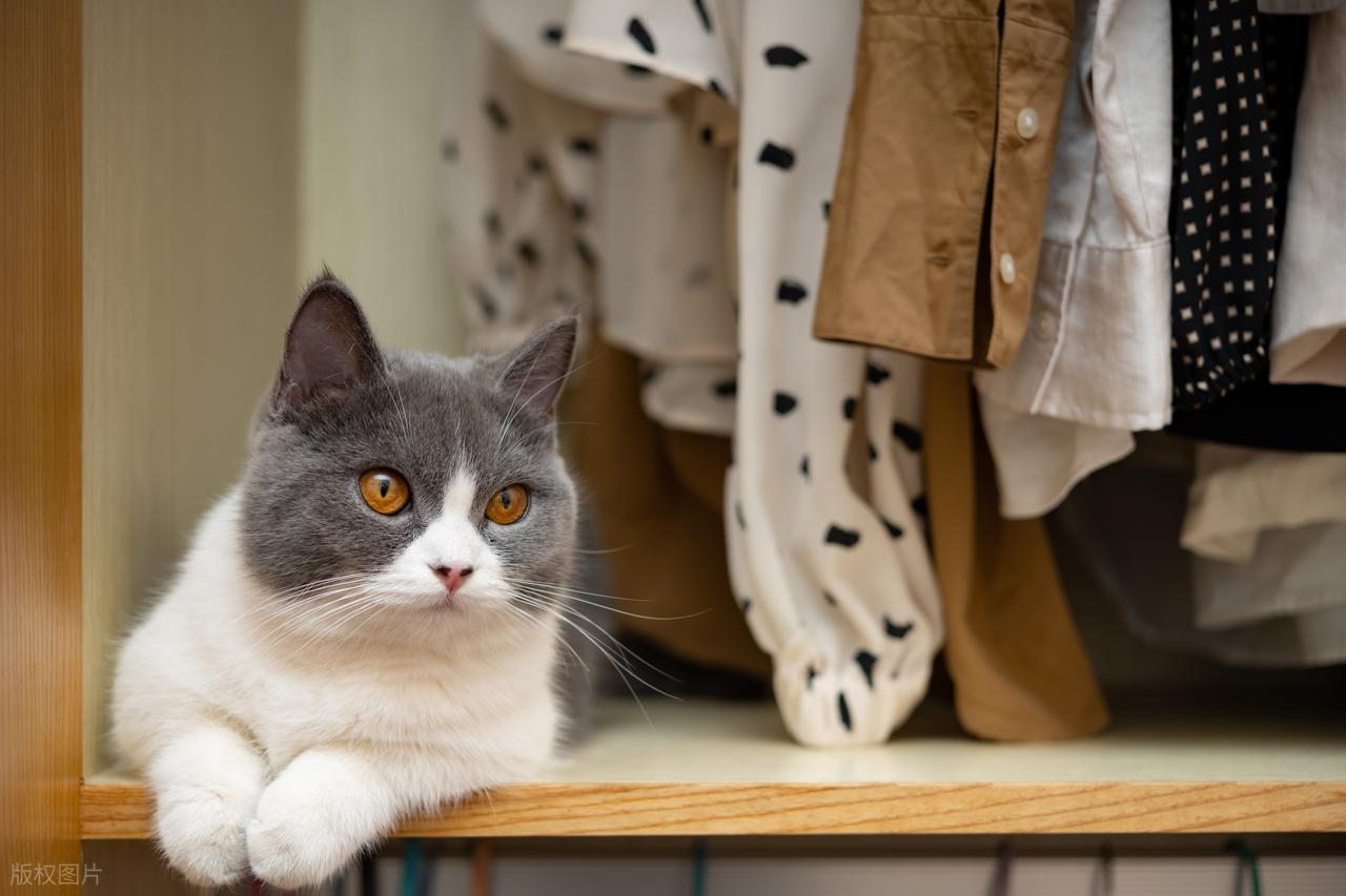 Nếu bạn đang thiếu tiền th&igrave; ngay lập tức h&atilde;y dừng 6 kiểu chi ti&ecirc;u n&agrave;y lại! - Ảnh 4.