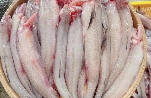 Ph&aacute;t hiện c&aacute; ch&aacute;o chứa chất cấm Formol tại H&agrave; Tĩnh g&acirc;y lo ngại sức khỏe - Ảnh 1.