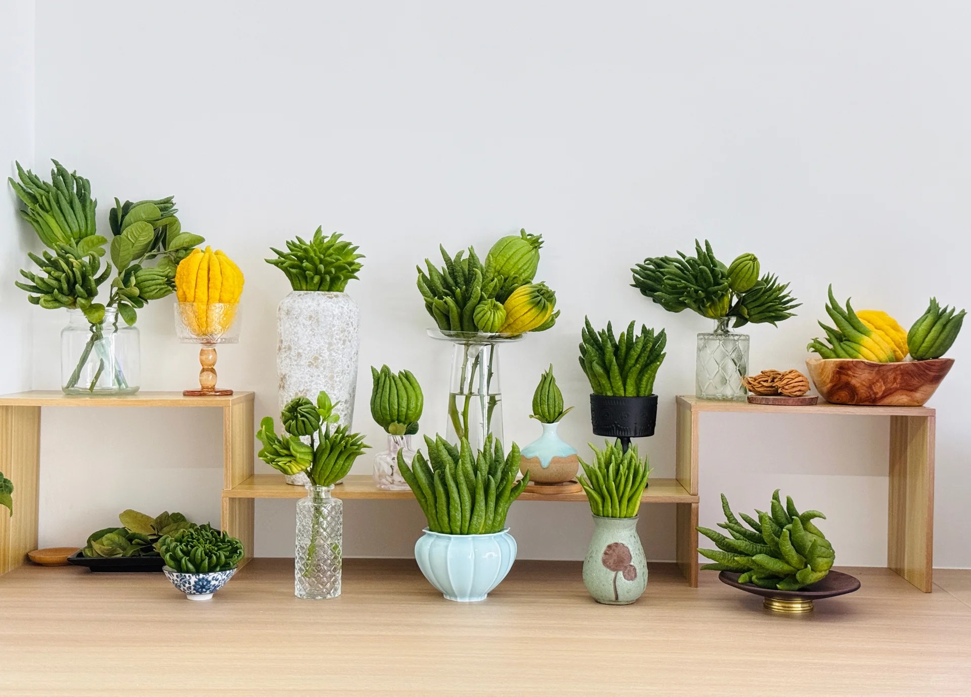 Tết n&agrave;y c&ugrave;ng quả Phật thủ: Trang tr&iacute; nh&agrave; đẹp , mang &yacute; nghĩa phong thủy tốt l&agrave;nh - Ảnh 2.