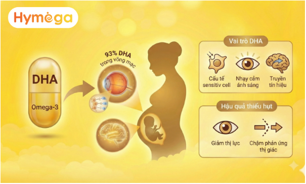 Giải m&atilde; b&iacute; mật về DHA nhiều mẹ bầu chưa biết - Ảnh 3.