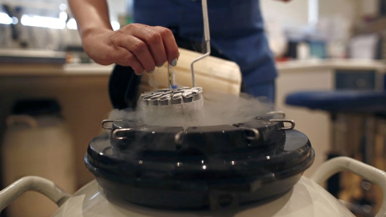 Trữ đ&ocirc;ng trứng: Đ&acirc;u l&agrave; 